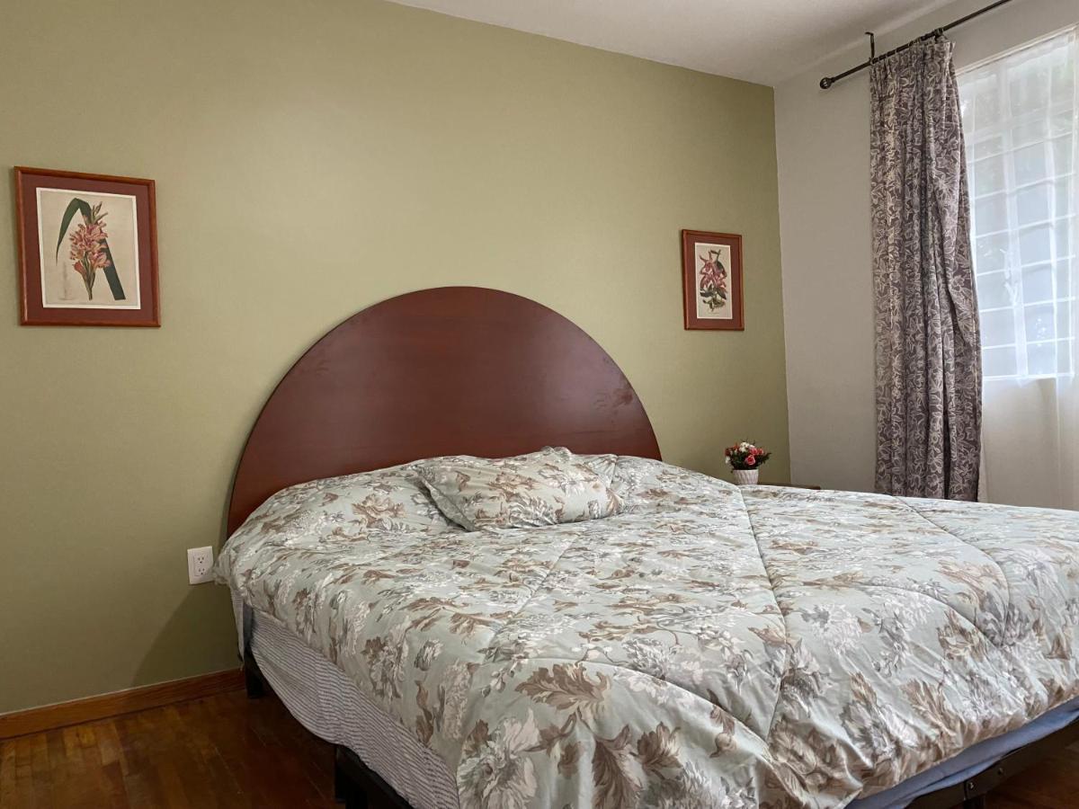 מקסיקו סיטי Nebraska Suites Wtc מראה חיצוני תמונה